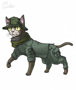 Military Cat by shurueder on DeviantArt