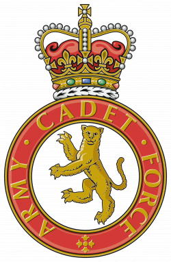 Support Arms and Services Corps - British Army - MFG