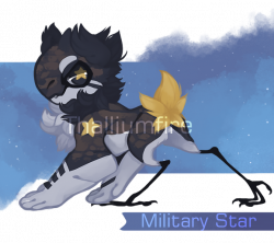 Military Star by NebNomMothership on DeviantArt
