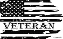 American flag veteran, US Military veteran flag , clipart ...