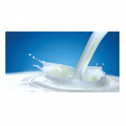 Vijaya milk 500 ml - Apkesaathservices.com