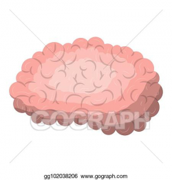 Vector Illustration - Brain side view in realistic colorful ...