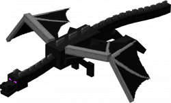 Image - Ender Dragon.png | Minecraft Wiki | FANDOM powered by Wikia