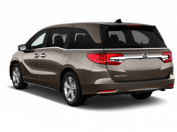 New 2019 Honda Odyssey EX-L in Salisbury, MD - Pohanka Automotive Group