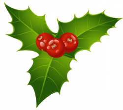 Christmas Mistletoe PNG Clipart | Christmas:Sticker | Pinterest ...