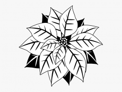 Black And White Poinsettia Clipart 2 By Christopher - Black ...