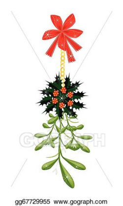 Vector Illustration - Green mistletoe and christmas holly ...