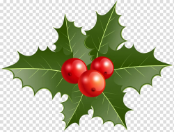 Mistletoe , Common holly Christmas decoration , Christmas ...