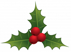 mistletoe png - Free PNG Images | TOPpng