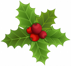 Mistletoe PNG Clipart Image | Gallery Yopriceville - High-Quality ...