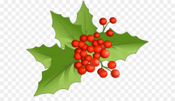 Holly Aquifoliales Natural foods Fruit Christmas - Christmas ...
