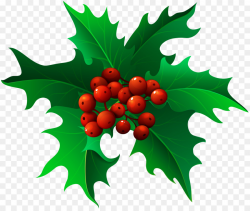 Mistletoe Christmas clipart - Illustration, Graphics, Fruit ...