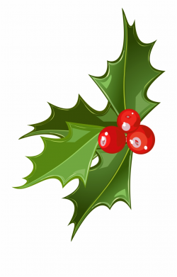 Holly Clipart Cherry - Mistletoe Clipart Png, Transparent ...