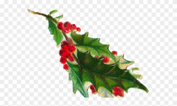 Free Christmas Clip Art - Clip Art Holly Branches, HD Png ...