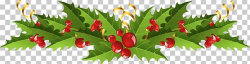 Mistletoe Christmas Decoration Common Holly PNG, Clipart ...