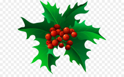 Mistletoe Christmas Clip art - Christmas Holly Mistletoe ...