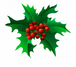 Free Png Christmas Holly Mistletoe Png - Transparent ...