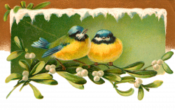 Antique Images: Printable Christmas Greeting Gift Tag Bird Mistletoe ...