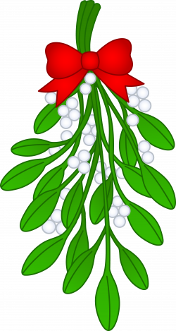 28+ Collection of Drawing Of A Mistletoe | High quality, free ...