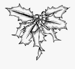 Mistletoe Christmas Illustration - Holly Drawing Png #83375 ...
