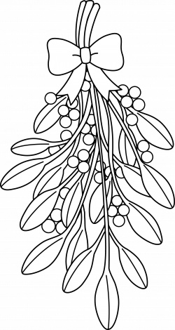 Mistletoe Drawing at GetDrawings.com | Free for personal use ...
