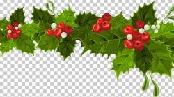 Common Holly Christmas Decoration Mistletoe PNG, Clipart ...