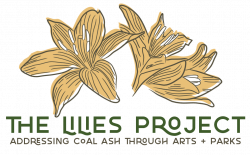 The Lilies Project — The Lilies Project