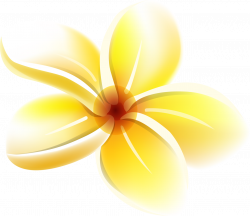 Yellow Flower Clip art - moana 1280*1106 transprent Png Free ...