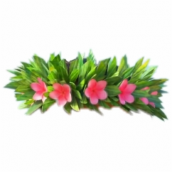 Hawaii Clipart Flower Crown 5 942 X - Moana With Flower ...