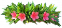 Moana flowercrown freetoedit