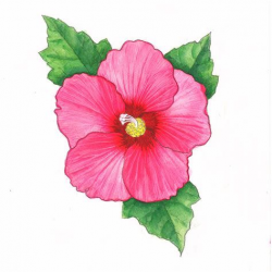 Pin by Aysuda on arts Flowersa in 2019 | Watercolor flowers ...