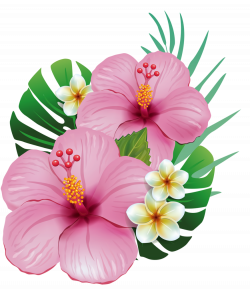 Tropical Flowers Clipart | Free download best Tropical ...