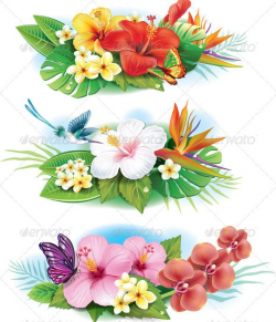 Arrangement of Tropical Flowers - Flowers & Plants Nature ...