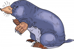 28+ Collection of Mole Clipart | High quality, free cliparts ...