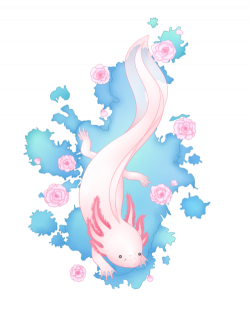 Axolotl art | Axolotls | Pinterest | Axolotl, Artsy and Draw