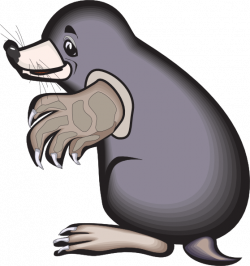 Cartoon Mole Clip Art at Clker.com - vector clip art online, royalty ...