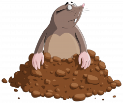 Cartoon Mole