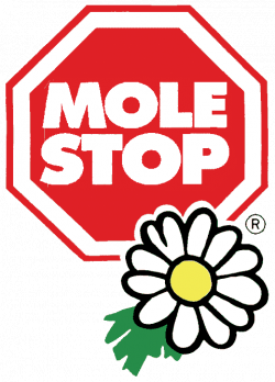 Mole Stop Solar
