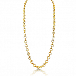 Gold Chain PNG Pic - peoplepng.com