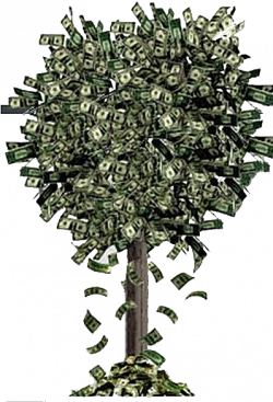 15 Money tree png for free download on mbtskoudsalg
