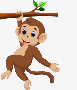 The Monkey Holding The Trunk PNG, Clipart, Activities ...