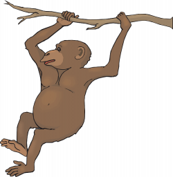 Swinging Monkey Clipart | Clipart Panda - Free Clipart Images
