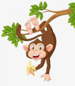 Monkey Hanging In A Tree PNG, Clipart, Banana, Barefoot ...