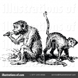 Monkey Clipart #1145855 - Illustration by Prawny Vintage