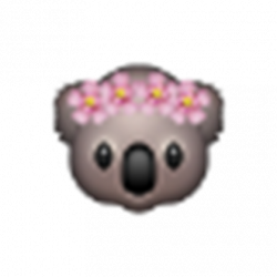 koala emoji w/ flower crown ♥ [4] - Roblox