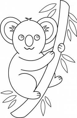 Free Koala Outline, Download Free Clip Art, Free Clip Art on Clipart ...