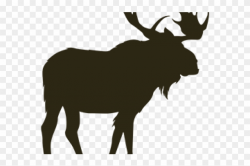 Moose Clipart Alaska Animal - Moose Transparent, HD Png ...