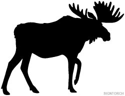 Moose Clipart arctic 12 - 625 X 480 Free Clip Art stock ...