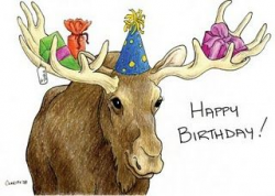 Happy Birthday Moose | Moose Deco's | Funny happy birthday ...