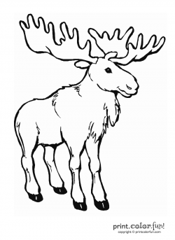 Free Moose Cliparts Black, Download Free Clip Art, Free Clip ...